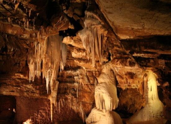 grotta-Riserva-Naturale-Integrale-Grotta-santaNinfa